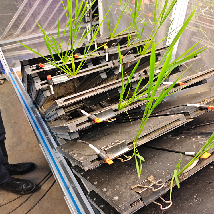 高通量植物根系表型采集分析系統(tǒng)（根盒式）